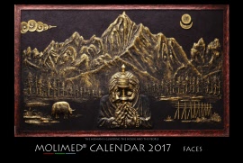 MOLIMED Kalender 2017